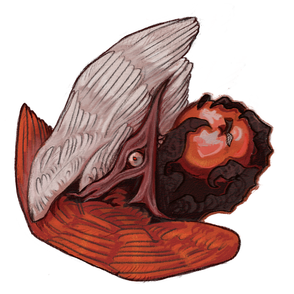 ARKONEIS